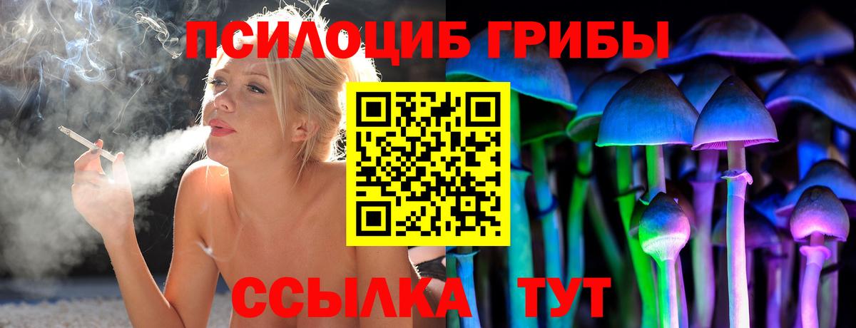 Псилоцибиновые грибы ЛСД Черняховск