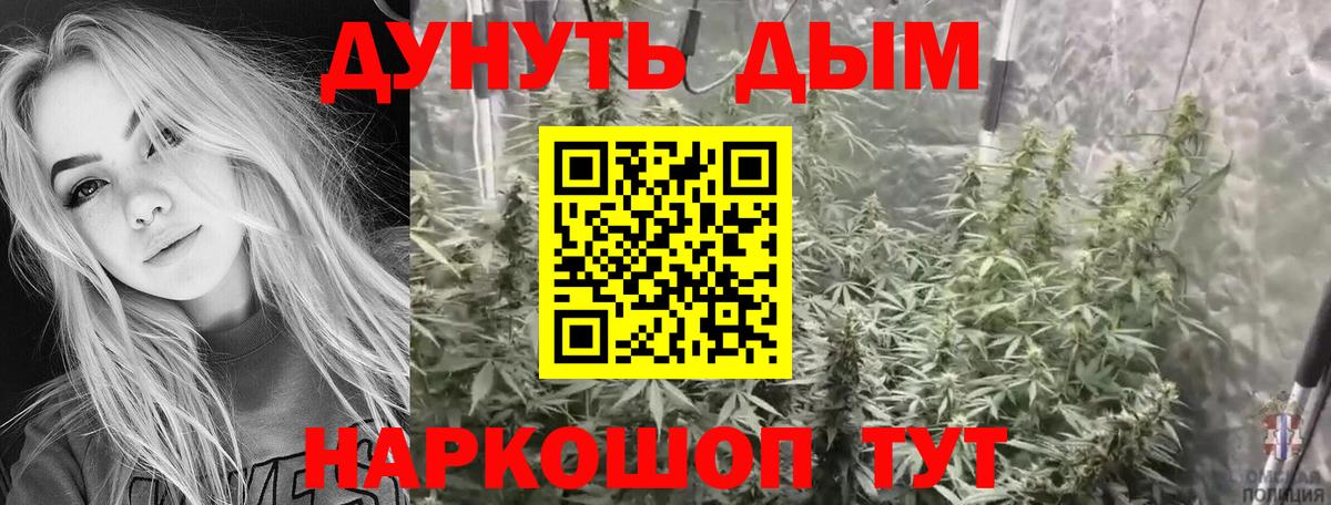 Конопля марихуана Черняховск